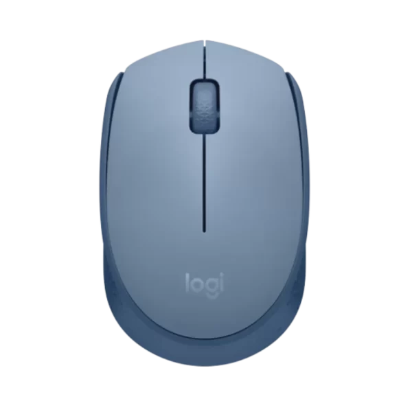 עכבר אלחוטי Logitech Wireless M171 בצבע תכלת